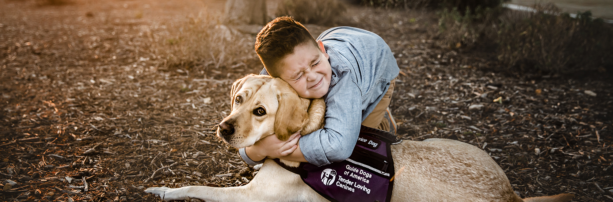 young boy hugging yellow Lab